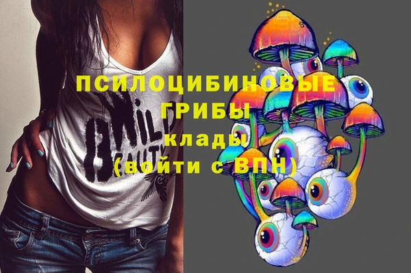 меф Ельня