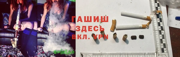 меф Ельня