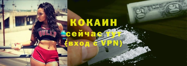 меф Ельня