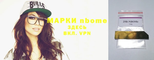 меф Ельня