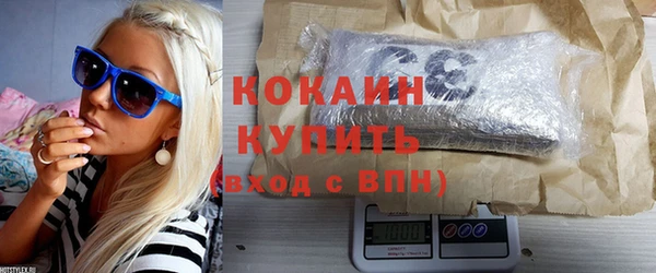 меф Ельня