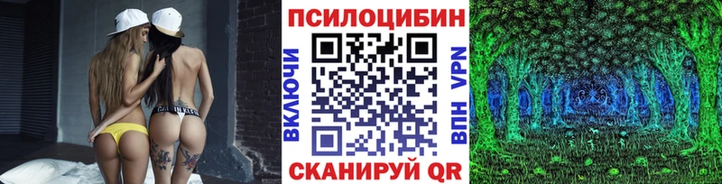 Галлюциногенные грибы ЛСД где найти наркотики Приозерск